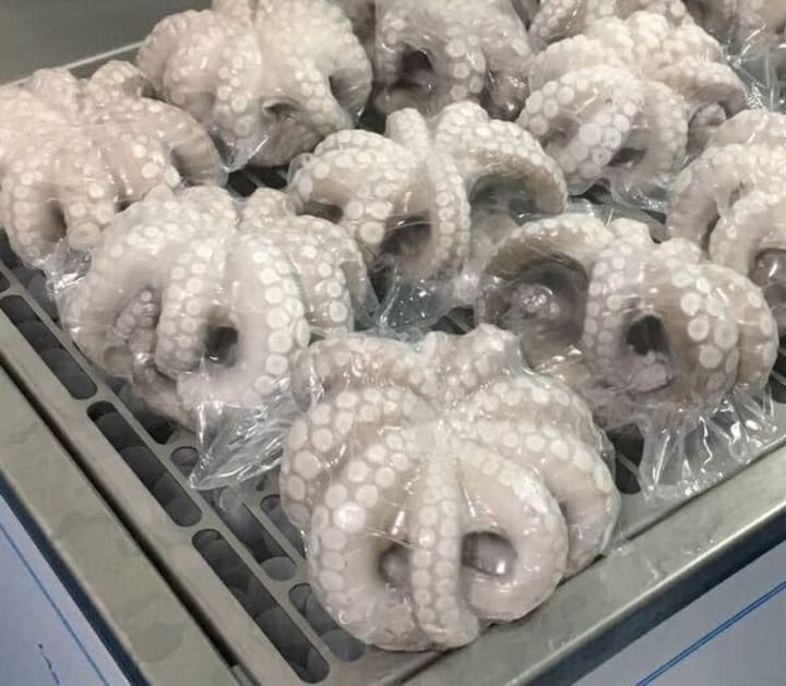 shrink+tank+-+octopus+1 shrink+tank+-+octopus+1